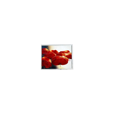 Goede prijs T-55534D150J-LW-A-ABN 15,0 inch 1024*768 LCD-scherm Industrieel online