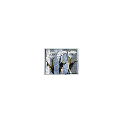 Goede prijs 800*480 T-55785GD070J-LW-ADN 7,0 inch 262K LCD-scherm online