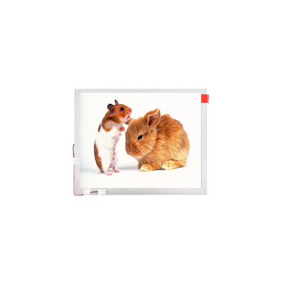 Goede prijs 10,1 inch TM101JVHG44-00 LVDS TFT-LCD-paneel LCD-scherm online