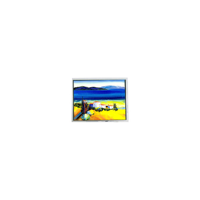 Goede prijs HSD050JDW2-C10-0220 800*480 5,0 inch LCD-scherm online
