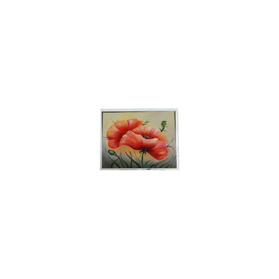 Goede prijs nieuwe 7,0 inch ETM070001BDHA 800*480 PCAP LCD-scherm module online