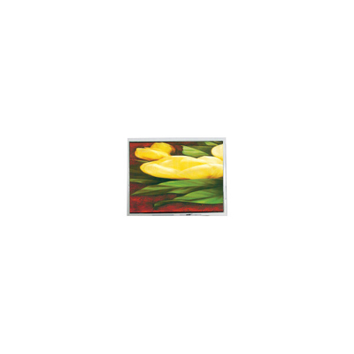 Goede prijs warm verkopen 5,7 inch COM57T5M20ZLC 640*480 60Hz LCD scherm Panel online