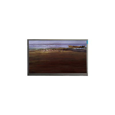 Goede prijs in voorraad 1024*600 10,1 inch P101GWT9 R4 TFT LCD-scherm online