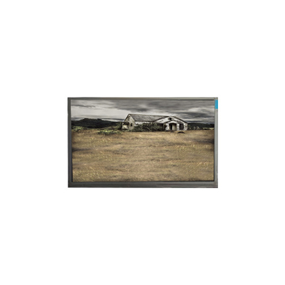 Goede prijs Originele 10,1 inch P101GWWF R0 1280*800 LCD-paneel voor tablet online
