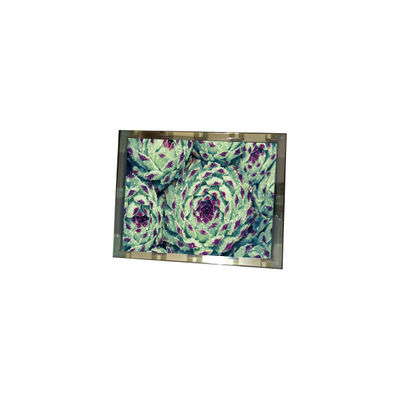 Goede prijs 276*128 EL4836HB-ICE 6,3 inch 110 cd/m2 LCD-schermpaneel online