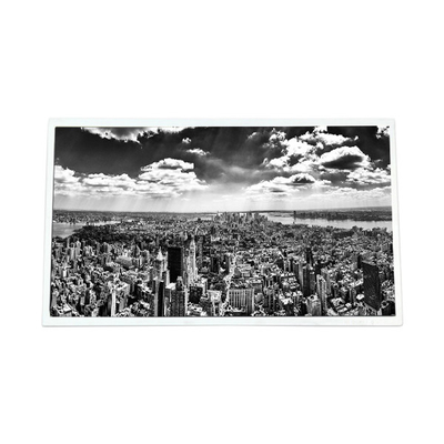 Goede prijs HOT SELL 21,5 inch P215HZN02.0 LCD-scherm voor digitale signage online