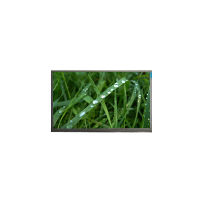 Goede prijs 10.1 inch LCD-scherm N101BGE-L31 262K LCD-monitor online