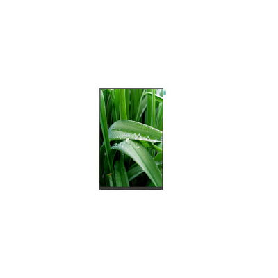 Goede prijs P101DEA-AZ1 10,1 inch 800*1280 500 cd/m2 LCD scherm online