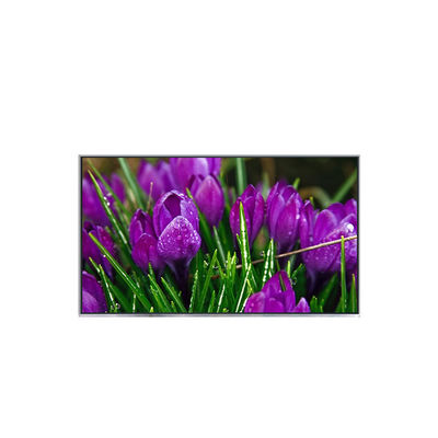 Goede prijs B116HAT01.0 11.6 inch origineel LCD-paneel Laptop online