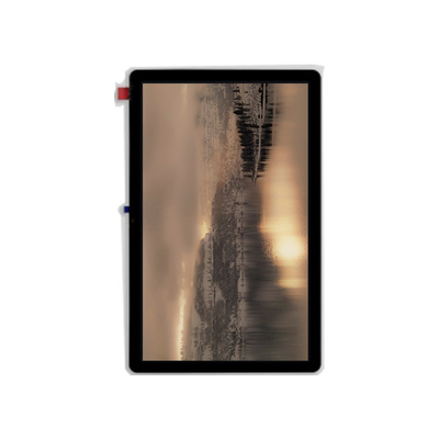 Goede prijs Nieuwe TV106C9M-LL0 10,6 inch LCD-scherm display module online