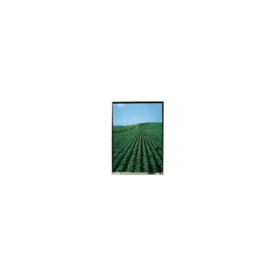 Goede prijs 5.0 inch LS050T3SX09 1080*1920 LCD-scherm voor mobiele telefoon online