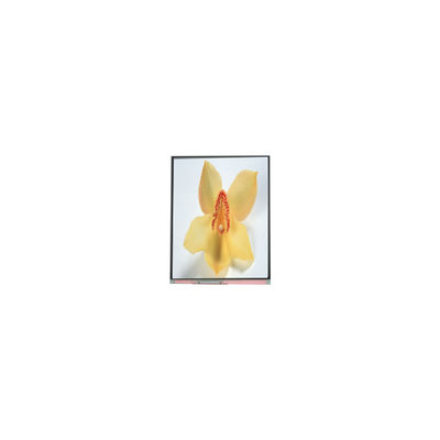 Goede prijs C050SWAN-0 5,0 inch 720*1280 LCD schermpaneel online