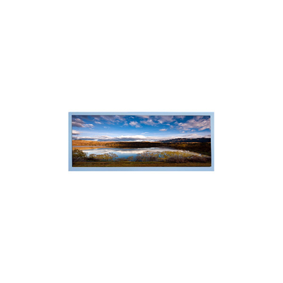 Goede prijs M102AWF2 R3 10,3 inch LCD-scherm TFT-LCD-paneel voor automobieldisplay online