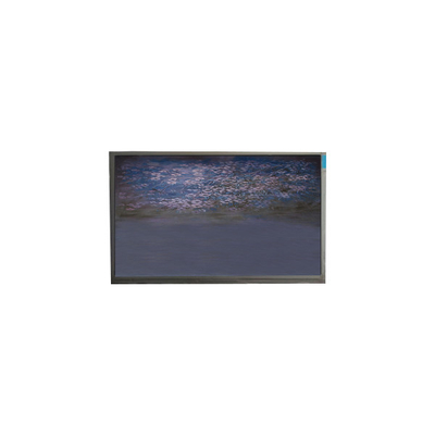 Goede prijs U055SWRA-1 5,5 inch lcd-schermpaneel 720*1440 lcd-schermmodule online