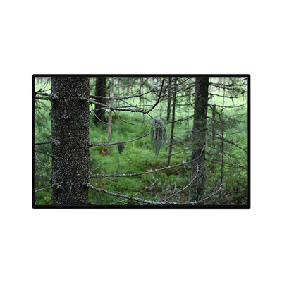 Goede prijs TV101WUB-NW1-D9P0 10,1 inch 1200*1920 LCD-scherm online