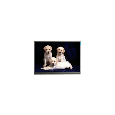 Goede prijs 800*1280 F080A27-6T1 8,0 inch TFT LCD-scherm online