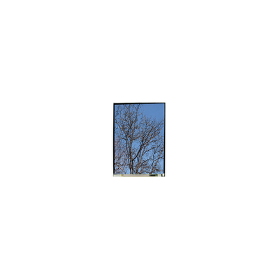 Goede prijs 5,5 inch LS055T1SX29 1080*1920 FHD LCD -displaypaneel online