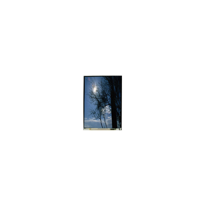 Goede prijs LS055T1SX09 5,5 inch 1080*1920 TFT-LCD LCD scherm online