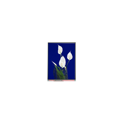 Goede prijs Hot Sell 540*960 C054SWN4-0 5,4 inch LCD-scherm online