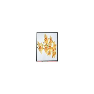 Goede prijs C060SWY2-1 6,0 inch 480*854 TFT LCD-scherm display paneel online