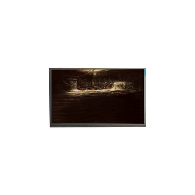 Goede prijs P116NWR1 R6 11,6 inch TFT LCD Display Panel monitor online