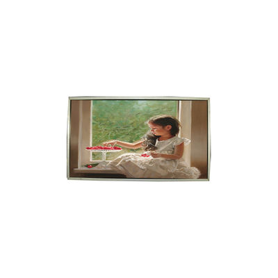 Goede prijs 23.0 inch LTM230HT05-V 30 Pins 1920*1080 LCD-schermpaneel online