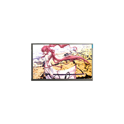 Goede prijs BT101IW01 V.0 10,1 inch 1024*600 LVDS 60Hz LCD-scherm online