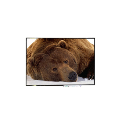 Goede prijs Lcd Monitorsb133hat02.0 1920x1080 LCD Comité het Schermvertoning online