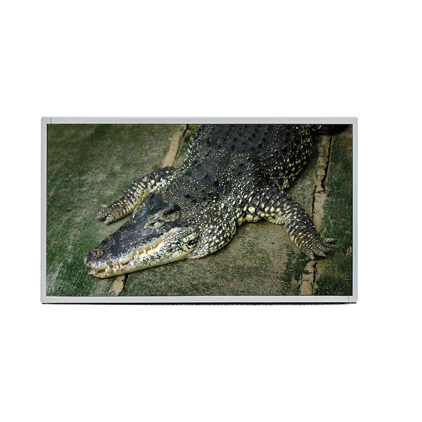 AUO 19,5 duimcomité M195RTN01.0 LVDS het Scherm van de Interface1600x900 TFT LCD Vertoning voor Industriële Laptop