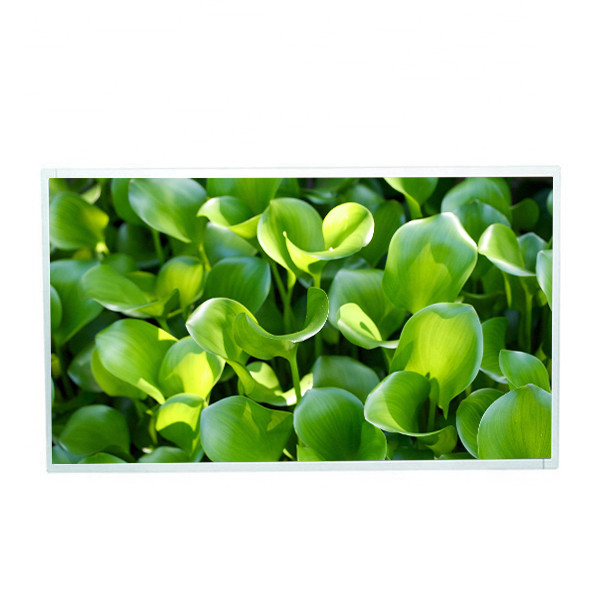 De Resolutieips van M215HJJ-L30 Rev.C5 1920*1080 het scherm de vertoning van 21,5 duimtft lcd lcd voor de kiosk van de touch screenvertoning