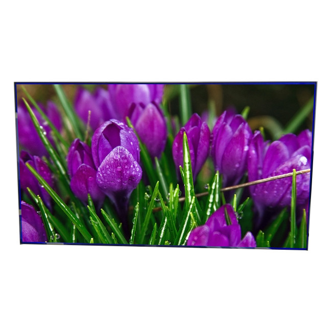 55,0 inch IPS LCD-scherm LTI550HN12 SAMSUNG-verbindingsscherm voor videomuur