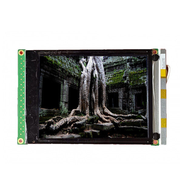 5,4 Duim Industriële LCD Comité Vertoning 320*240 dmf-50840nb-fw-ase-BFN