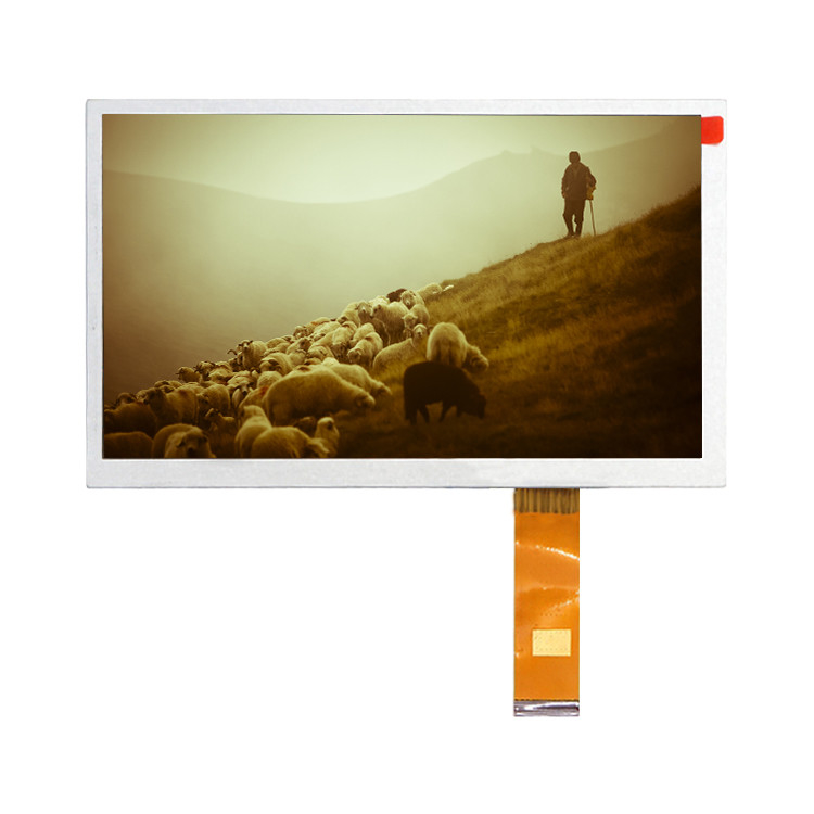 Hannstar HSD080IFW1-A00 1024*600 8,0 duimips de Vertoning van het de modulescherm van TFT LCD