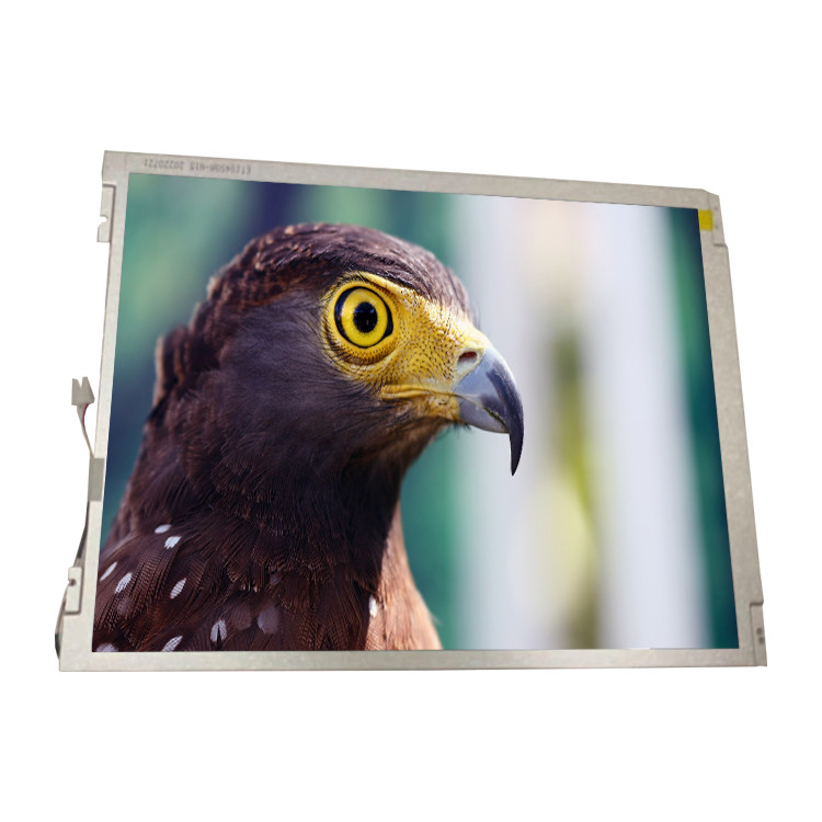 Originele BOE 10,4 de Vertoningsmodule TT104S0M-NW0 van de duim800*600 Resolutie LCD