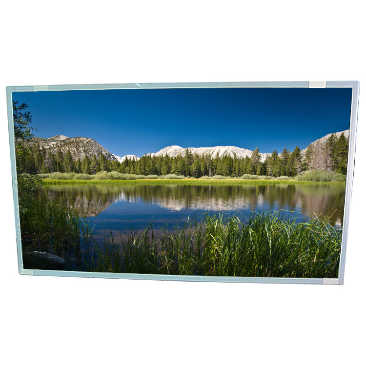 24.5 inch LCD-schermmodule HSD250MUW2-B00 RGB 1920×1080 FHD 89PPI