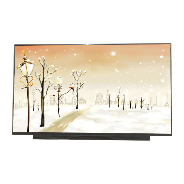 Nieuw 17,3 inch B173HAN04.0 1920*1080 127PPI LCD-scherm voor AUO
