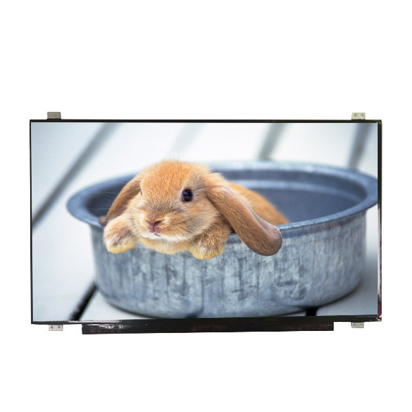 Voorraad B173HAN01.4 grootte 17,3 inch Mat Hard coating LCD Screen