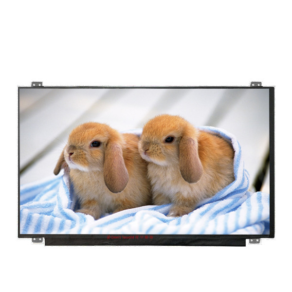 Voorzien van B156HAN04.4 grootte 15.6 inch LCD-scherm met LED-driver