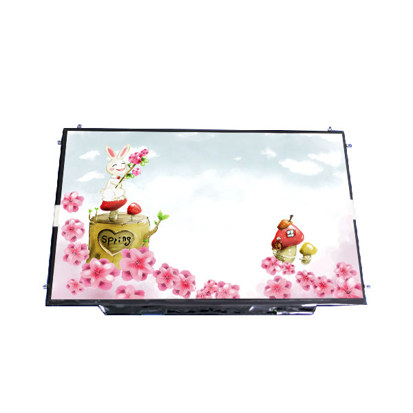 RGB 1680*1050 128PPI B154SW02 V1 grootte 15,4 inch LCD-module