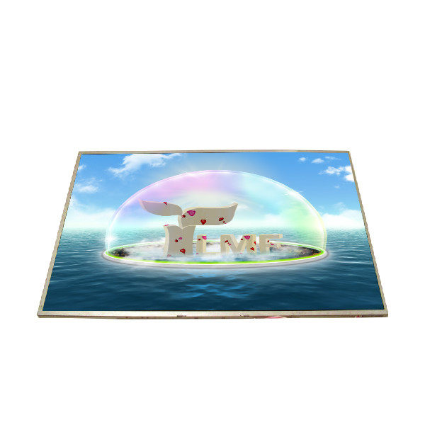 Grootte 15,4 inch 60Hz 262K a-Si TFT-LCD B154EW02 V6 LCD-paneel