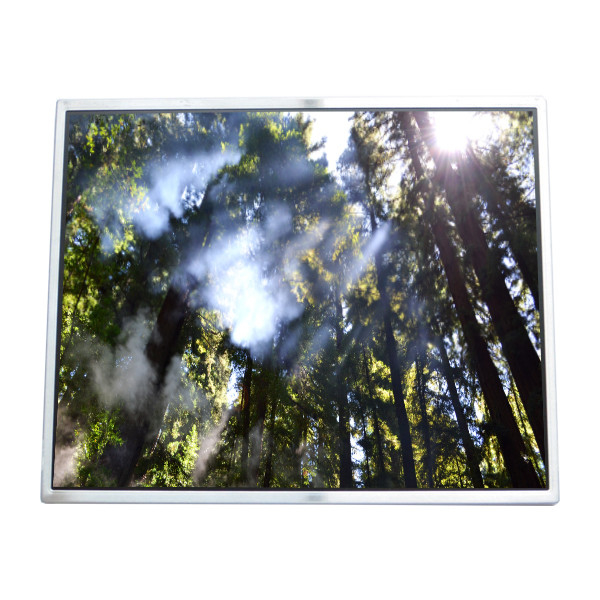 LTM190M2-L01 LCD-scherm 19,0 inch Scherm LVDS 30pins connector LCD-module