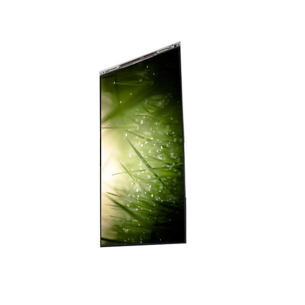 BS055FHG-E41-6C00 5,5 inch LCD-scherm LCD-scherm PANEL Voor mobiele telefoon