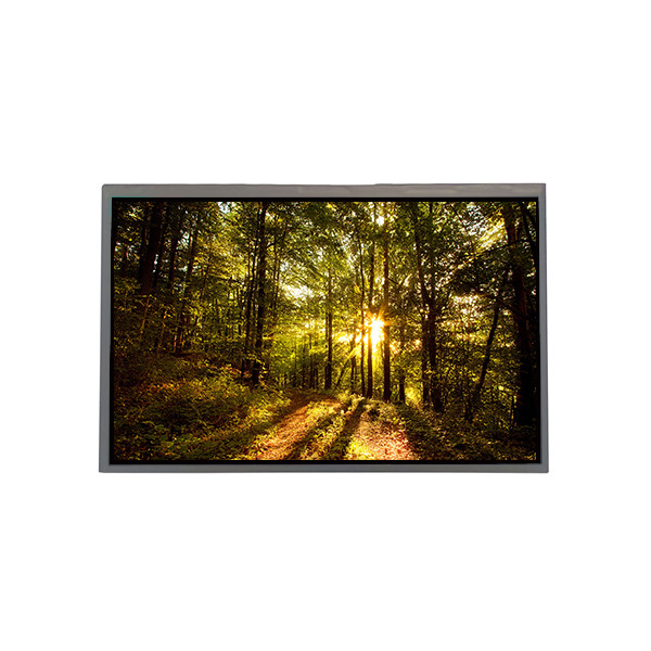 GV101WXM-N10 800*1280 10,1 inch 16,7M 0%NTSC LCD-scherm voor BOE