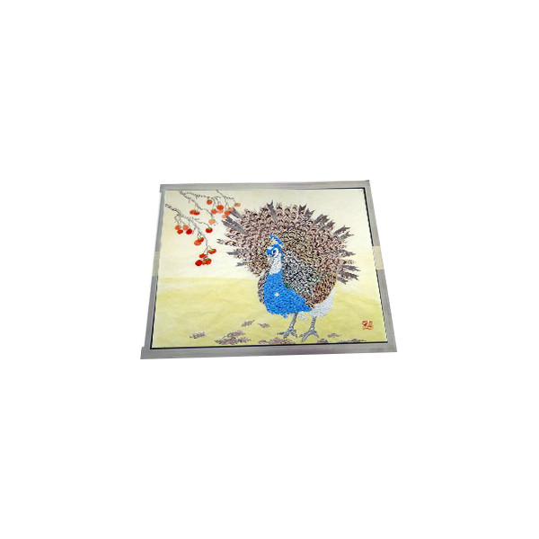 Nieuw LQ150X1DG41 15,0 inch 220 cd/m2 CCFL LCD scherm voor Desktop Monitor