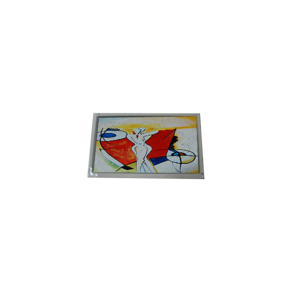 Hot Sell AM800480R2TMQW-E1H 7.0 inch 800*480 500 cd/m2 262K LCD scherm