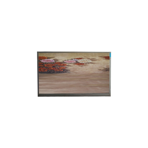 Nieuwe originele 720*1520 LCD schermpaneel U062SWR5-0 6.2 inch LCD touch display