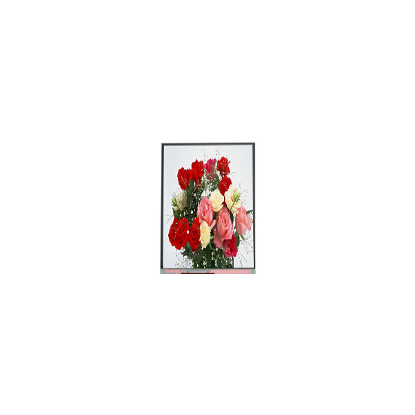 C065SWR4-0 Originele in voorraad 6,5 inch 540*1200 LCD-scherm