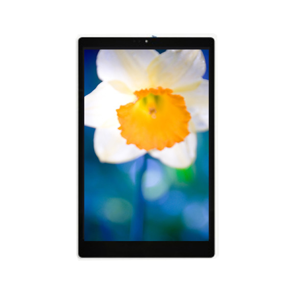 TV101WXM-NLA 10,1 inch 800*1280 LCD-scherm voor tablet