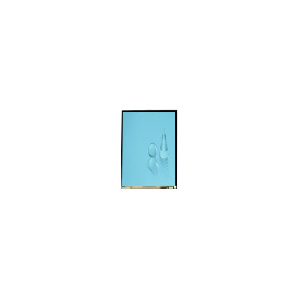 LS060B1SX01 6,0 inch LCD-scherm 1080*2160 1500 Cd/M2 LCD Touch Screen