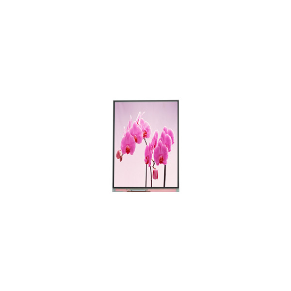 C060SWR5-1 6,0 inch 720*1440 LCD-schermpaneel voor mobiele telefoon